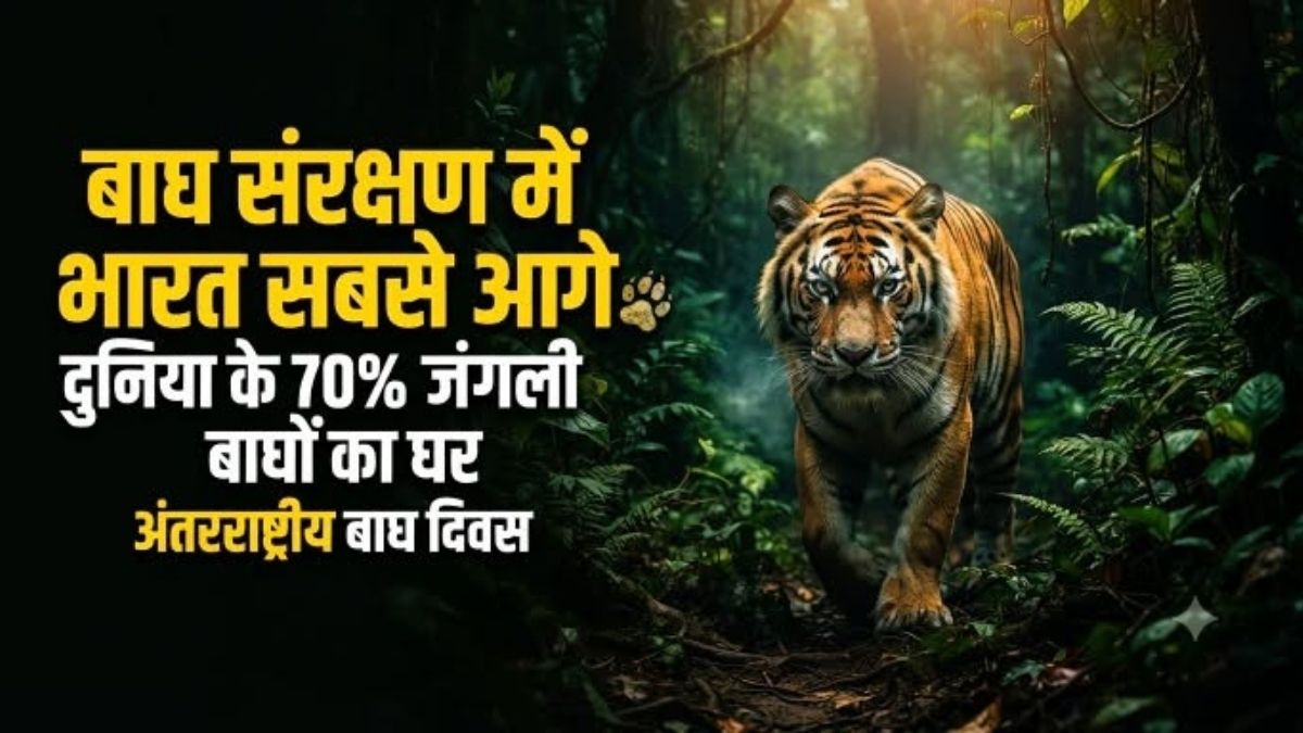 अंतरराष्ट्रीय Tiger दिवस विशेष बाघों की सुरक्षा से सुरक्षित होगा भारत का पर्यावरण और भविष्य